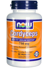  / Cordyceps  90  